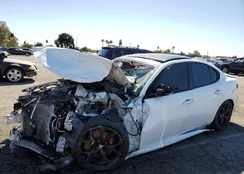 ZARFAMAN0L7632099: 87086305