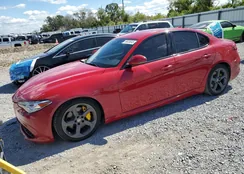 ZARFAMAN4K7599798: 86826045