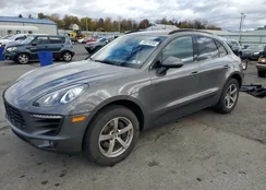 WP1AA2A54JLB23242: 90319265