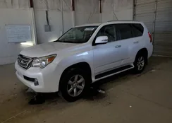 JTJJM7FX4B5034645: 87228305