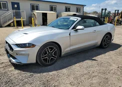 1FATP8UH4J5166202: 82233805