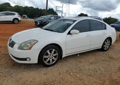 1N4BA41E26C817409: 85705705