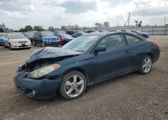 4T1CA30P05U049610: 81770135