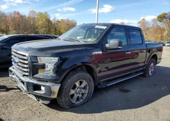 1FTEW1EG2FFB76215: 89510675