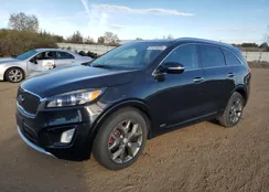 5XYPKDA59GG085161: 87078255