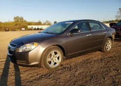 1G1ZA5E05AF216069: 85259505