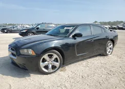 2C3CDXBGXDH638816: 89868585