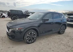 JM3KFBDM4P0130557: 87194015