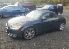 TRUMF38J281043538: 85342065