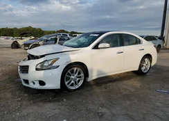 1N4AA5AP7BC841296: 86882105