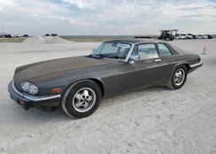 SAJNV5848FC123467: 86499535