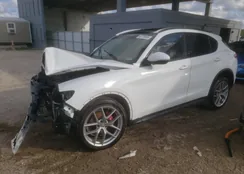 ZASFAKPN7J7B92649: 82773405