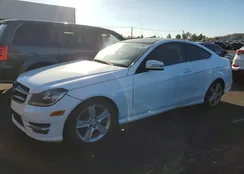 WDDGJ4HB1FG420428: 82213765