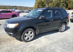 JF2SH6CC9AH787061: 89617205