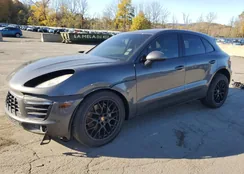 WP1AB2A5XGLB49902: 87083975