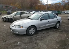 1G1JC52F147200689: 85421305