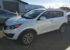 KNDPBCAC3G7797509: 90781385