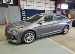 5NPE24AF8KH776408: 91607255