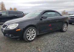 WVWBA71F69V016253: 91825885