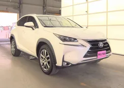 JTJBJRBZ5G2031987: 91519335