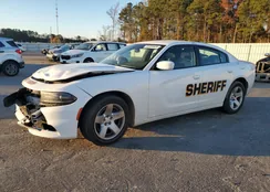 2C3CDXAT2MH527997: 83304834