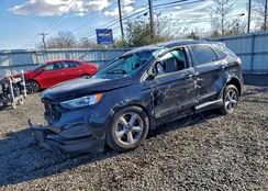 2FMPK4G98LBB06781: 94194905