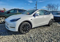 7SAYGDEE4PF875588: 96676135