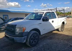 1FTFX1ET9DKF44294: 97366765