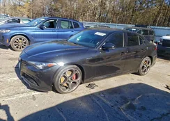 ZARFAMBN4P7668902: 98438455