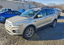 1FMCU9GD4JUB41075: 97520285