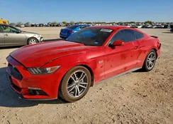 1FA6P8CF0G5336187: 96636495