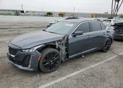 1G6DN5RK9M0111997: 38975264