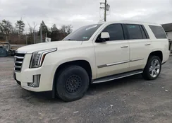 1GYS4MKJ8FR542181: 80235523