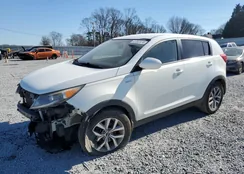 KNDPBCAC0G7859335: 41362474