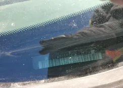 2G1WM15K169279772: 44417294