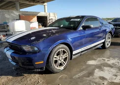 1ZVBP8AN7A5170659: 42061234