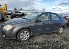 KNAFE121765259908: 41662524