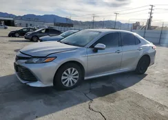 4T1C31AK4LU523038: 44366124