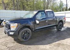 1FTFW1E5XNFB91319: 53792874