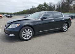 JTHCL46F195002037: 54289074