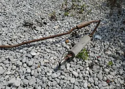 190DC041139D: 55347204