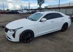 1G6DB5RK7M0131285: 60350684