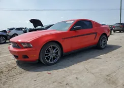 1ZVBP8AM1B5121594: 57843014