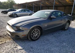 1ZVBP8AM7E5293827: 59954323