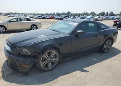 1ZVBP8AM6E5326056: 61350043