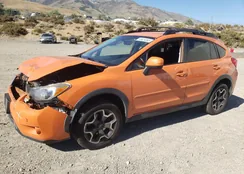 JF2GPACC2D2868759: 65824383