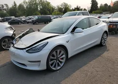 5YJ3E1EB0JF082281: 65247603