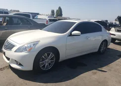 JN1CV6AP5DM723051: 69031663