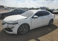 19UUB2F75GA011044: 67934003