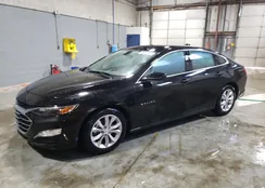 1G1ZD5ST4NF158788: 66223923